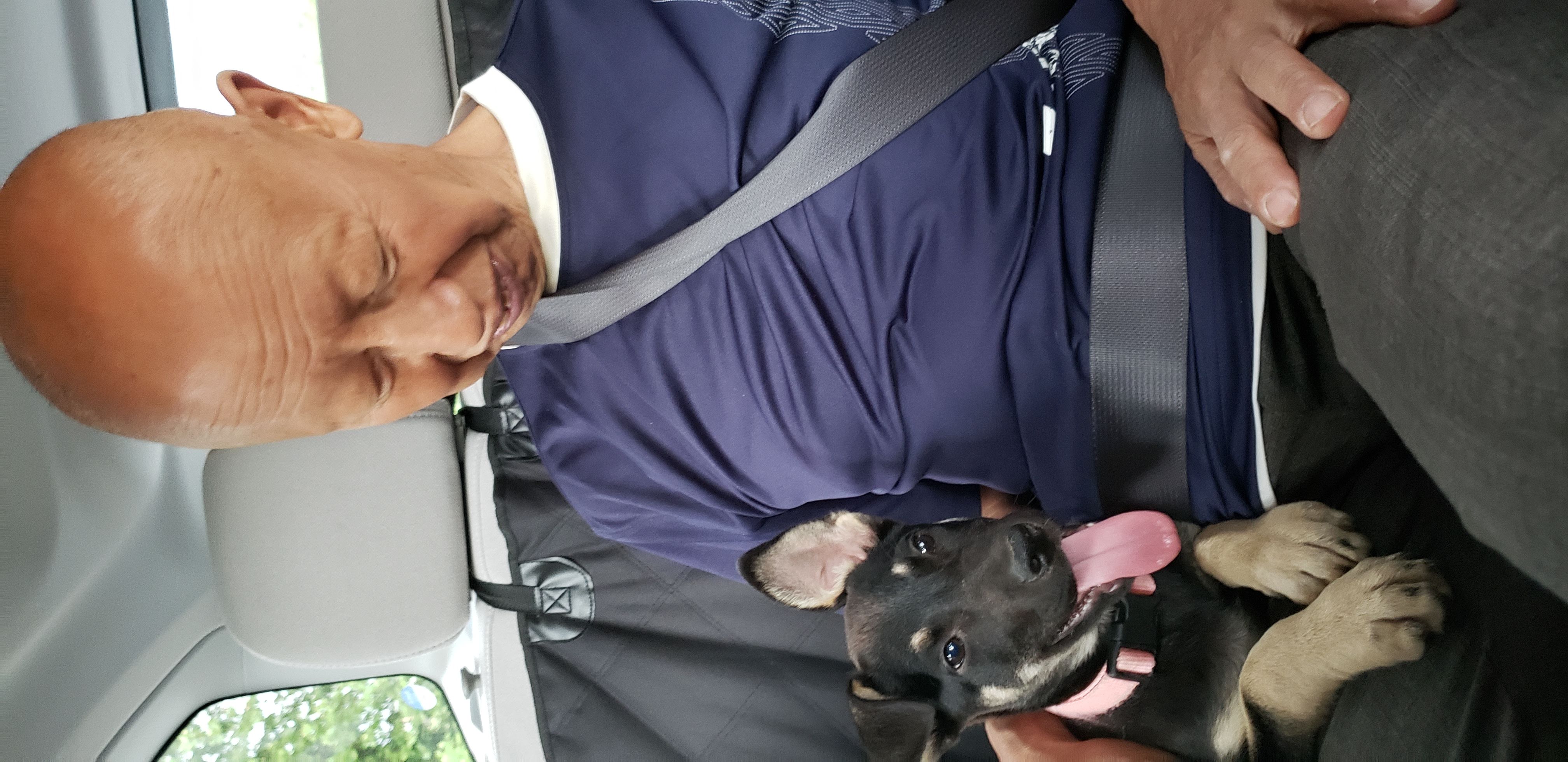 Hiker as a puppy, spring 2019