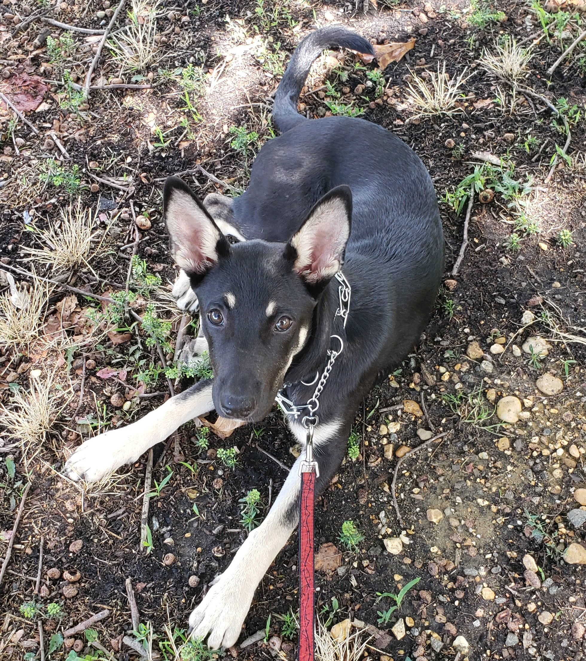 Hiker, July 2019