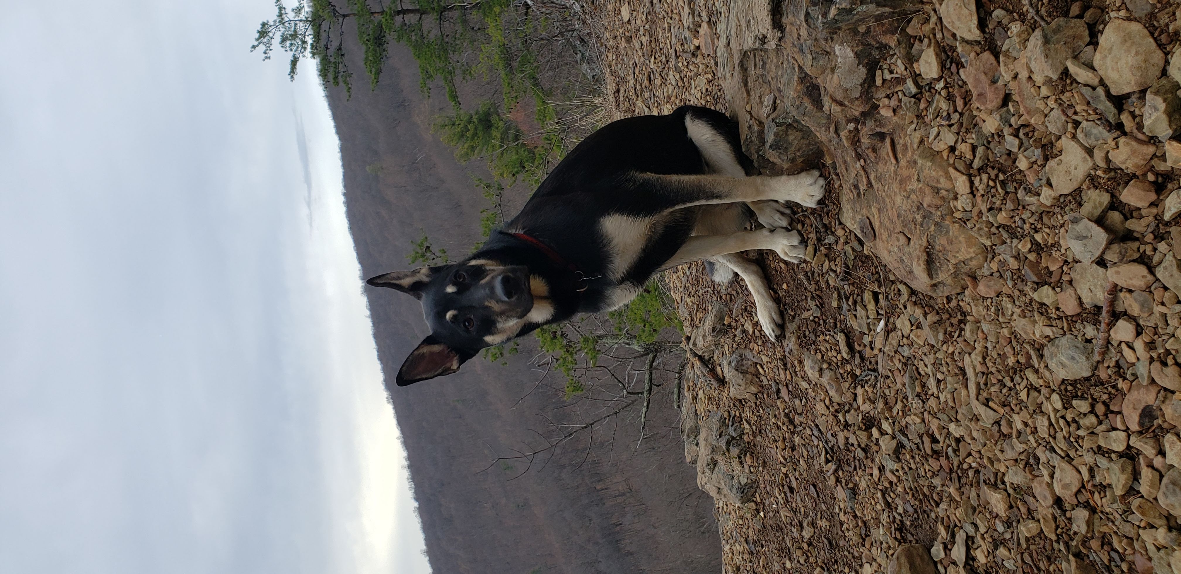 Hiker, March 2020