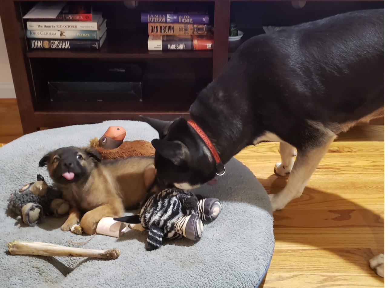 Hiker with baby Sunny, playing with a rope toy