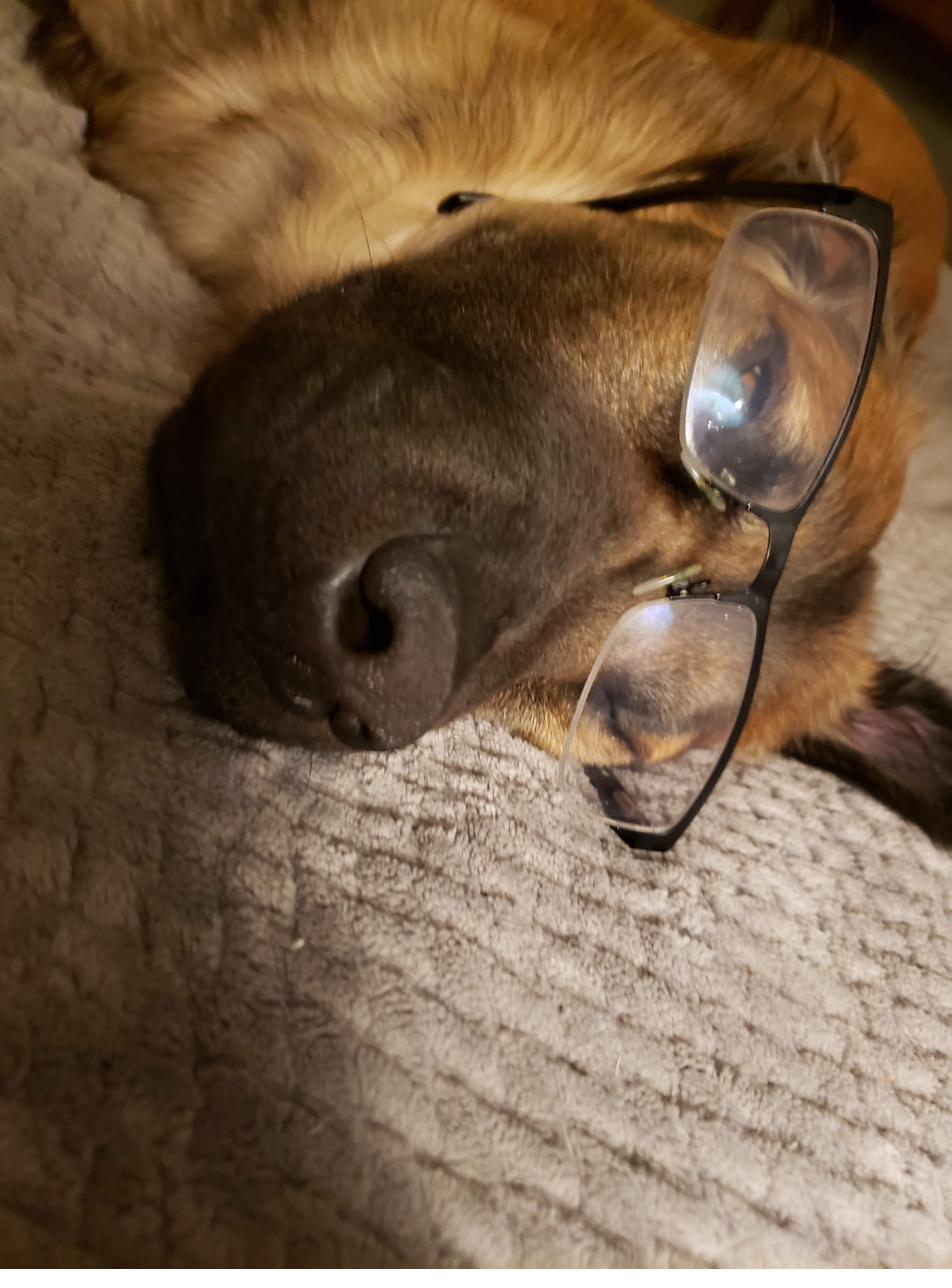 Sunny pretending to be well-read