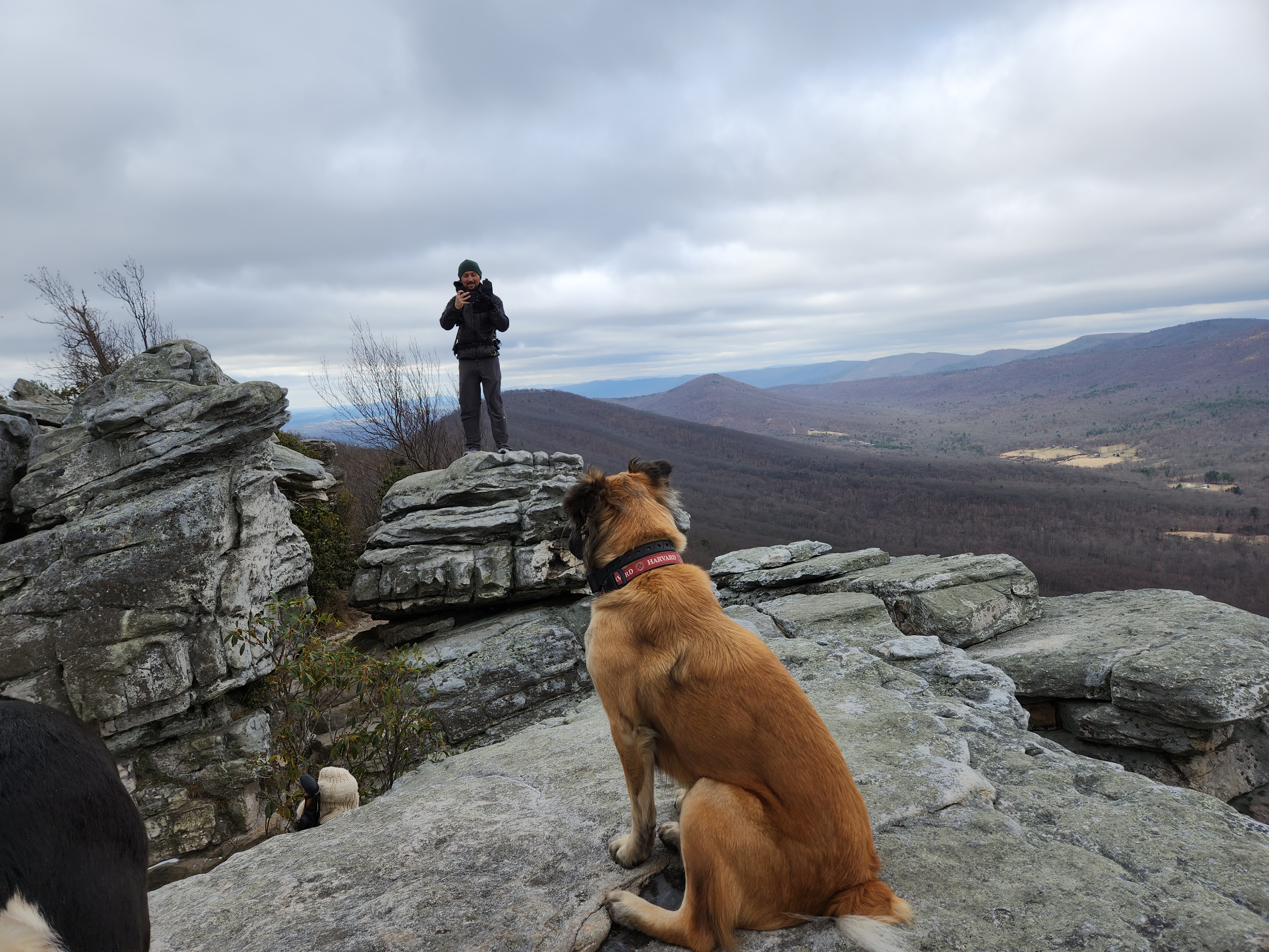 Sunny on a mountain trail