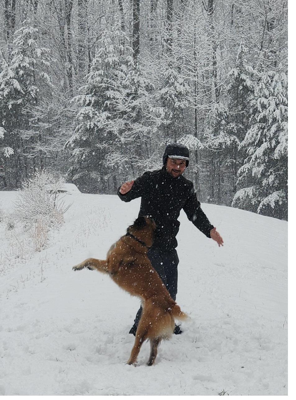 Sunny in the snow, January 2025