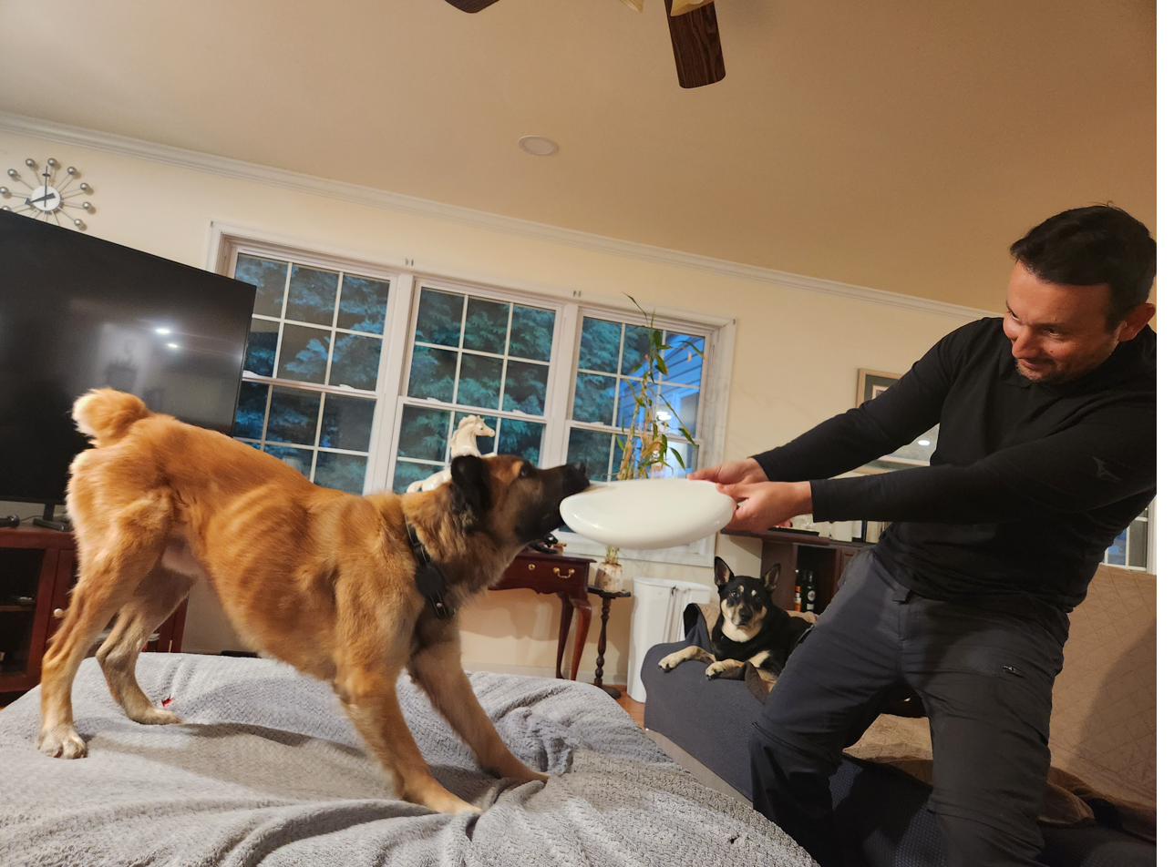Sunny with a new frisbee, May 2026