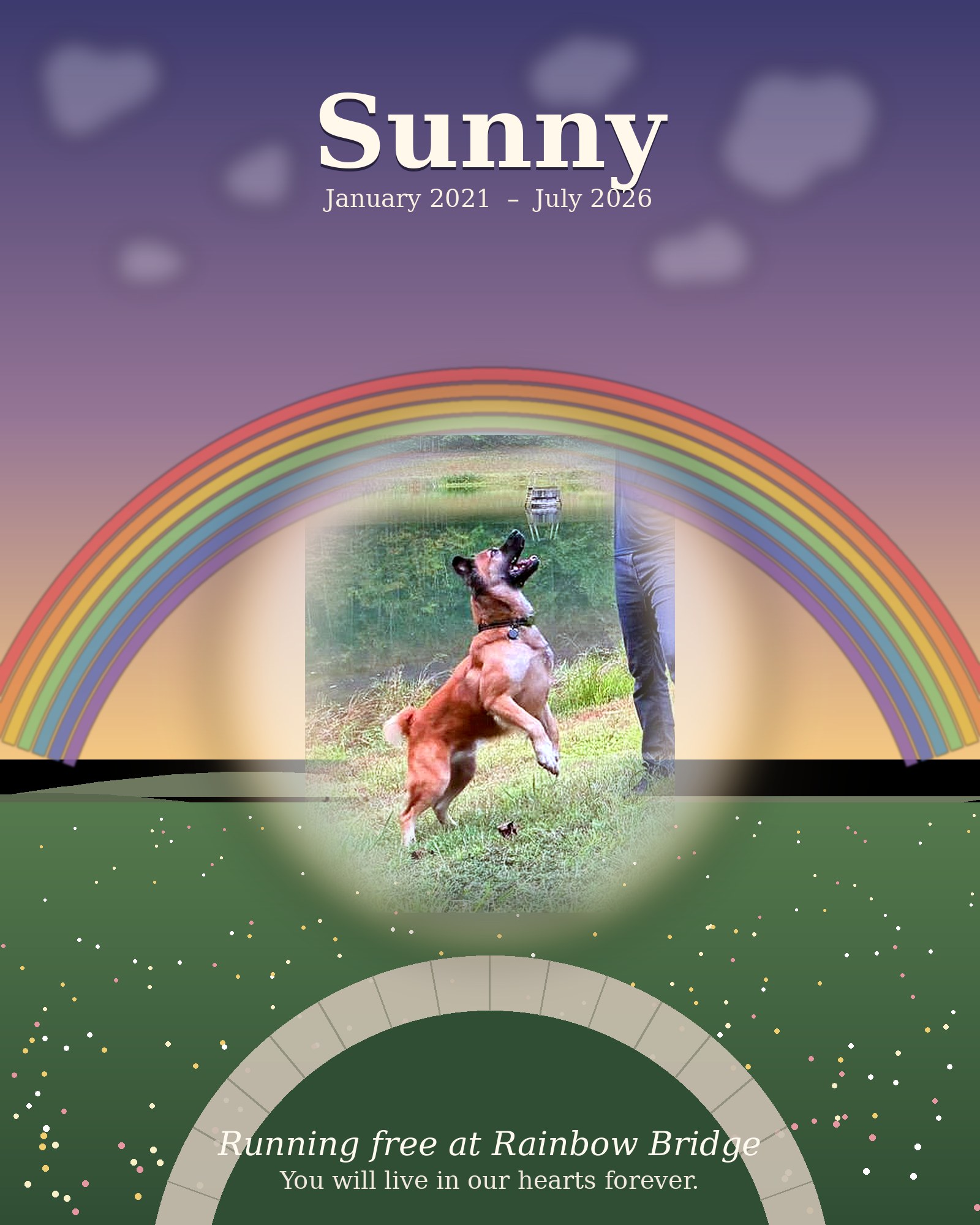 Sunny at Rainbow Bridge, illustrated tribute